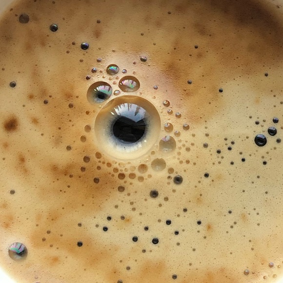 Meet your Posher, Sanch - Picture 1 of 1